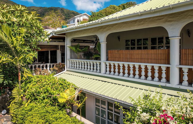 Beau Bamboo - Foto 70