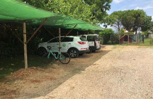 Agriturismo il Podere Vedelago con San Bernardo, Alpaca e una Pentola di cose da scoprire - Foto 78