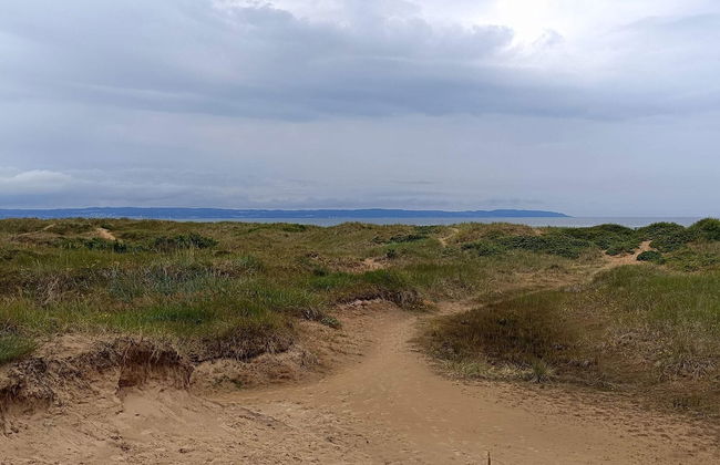 Nice Apartment Near the Beach-by Traum - Photo 2