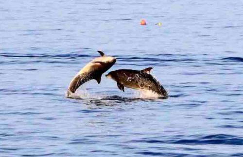 No3 By The Sea a 5 Star Cozy Coastal Cottage - Foto 31