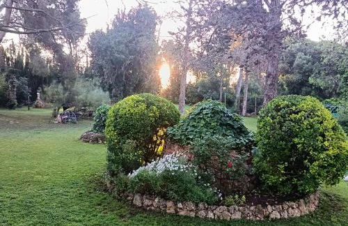 Masia de l'Estrella - Foto 24