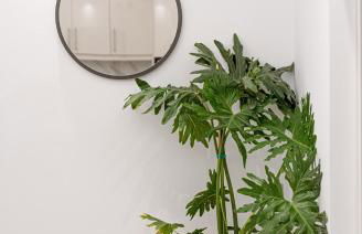 Meraki Home - Photo 18