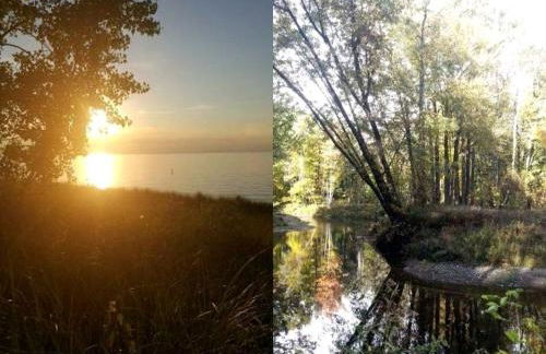 Cabin Surrounded by Sublime Nature near Lake Huron, Michigan - Foto 8