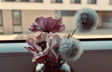 Ferienwohnung Schmalkalden - Foto 8