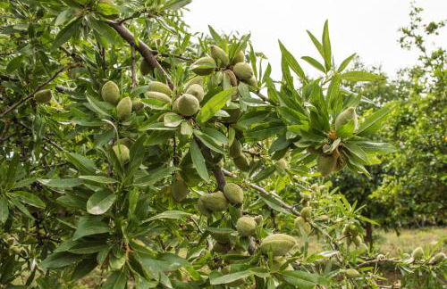 Casa Fondachello - Foto 25
