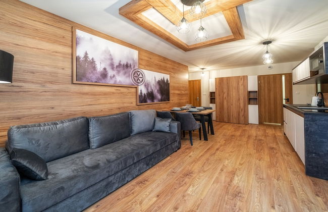 Sun & Snow Resorts H Białka Tatrzańska - Foto 49