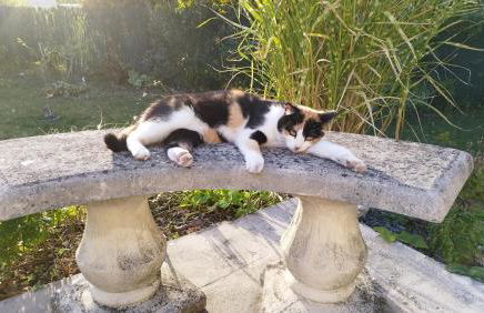 Le Wilson - accès Paris rapide - Foto 21