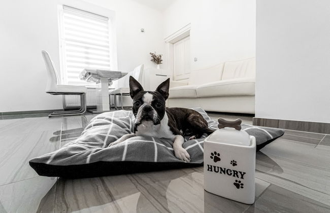 Kenti Residence - Foto 32