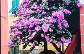 Casa Sissi - Foto 47