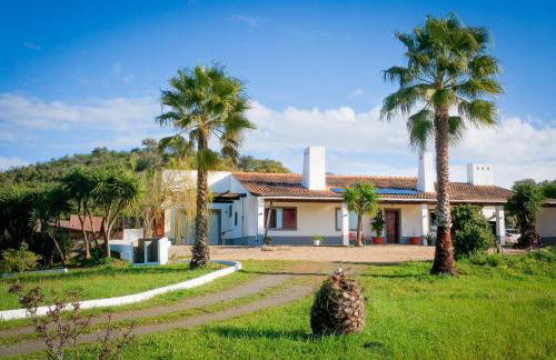Luxe villa for 8 - Private Pool -AC -BBQ Area - Patio - 160Mbps - Olives - Palm - vineyard - Foto 2