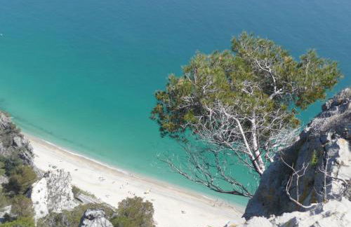 Residence Le Dune Club - Photo 50