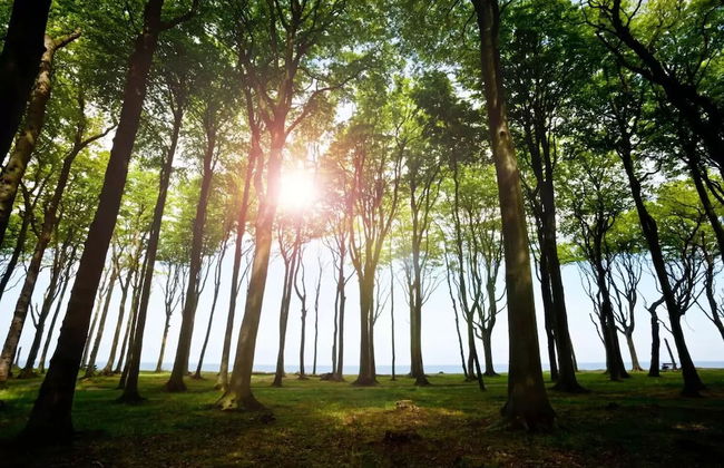 Apartment Piccolo - Foto 17