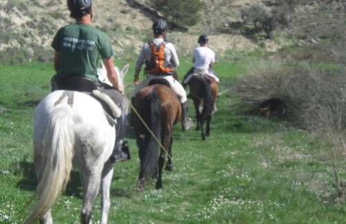 Apartamentos Tío José María - Foto 55