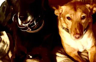 Masiadenjust - Foto 32