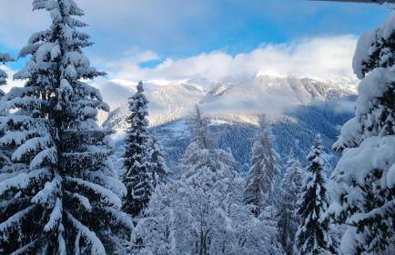 Appartamento Cinzia Residence Solaria Marilleva 1400 - Foto 79