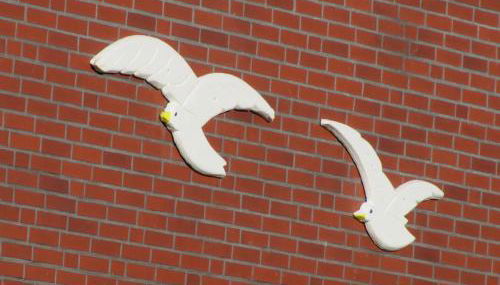 FeWo-Möwenpaar-Norden-Norddeich - Foto 5