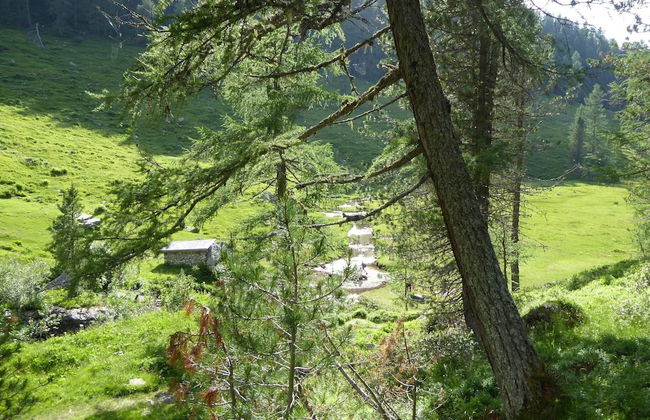 Family Retreat Near Garda - Photo 37