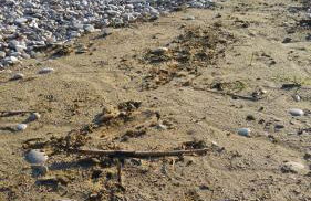 Relais Il Giardino fra gli Ulivi - Foto 56