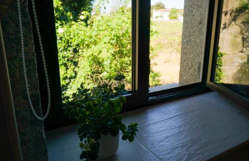 Casa d'Amares - Foto 63