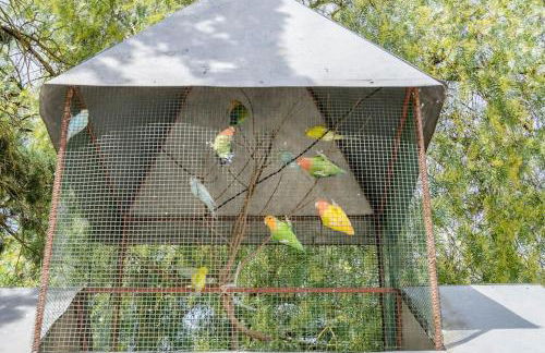 Quinta dos Pinheiros - Foto 35