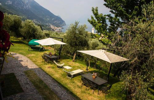 Agriturismo L'Uliveto - Foto 67