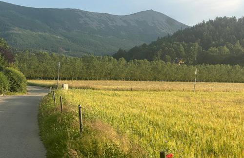 Chatka Baby Jagi - Foto 10