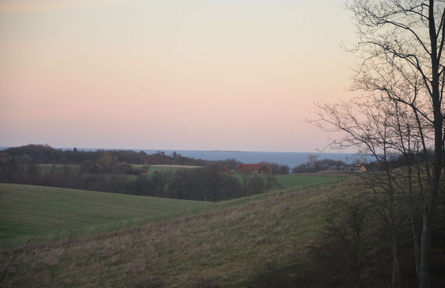 Lehnsgaard Ranch - Foto 39