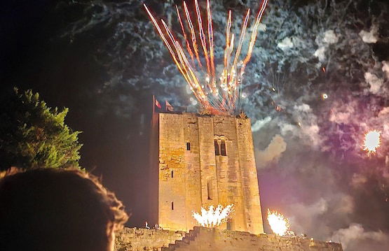 Château Touzinat - Foto 27