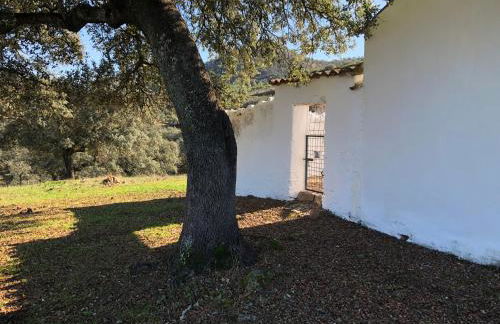 Finca La Vicaria ROMERO - Foto 15