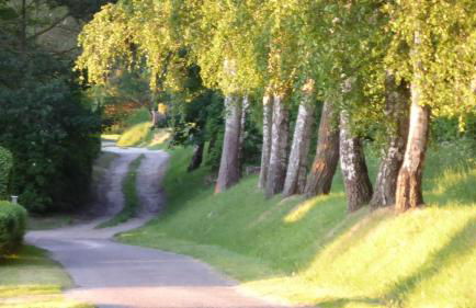 Gut-Rattelvitz-Galerie-D-hochwertig-Sauna-Kamin-eTankstelle-Spielscheune-15-000qm-Parkland - Photo 69