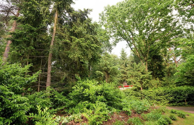 Holiday Home in Arrien Near Beerze Nature - Foto 31