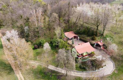 Šalatin jarek - Foto 47