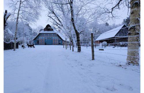Ferienwohnung - De Deelstuuv - Foto 25