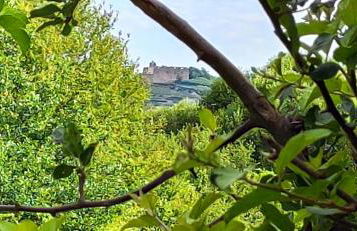 Ferienwohnung Belchenblick - Foto 27