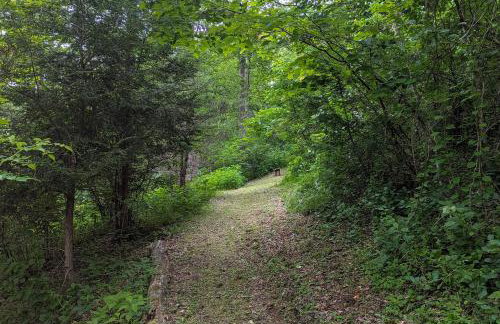 Hot Tub and River Views Doolittle Mountain Cabin - Foto 34