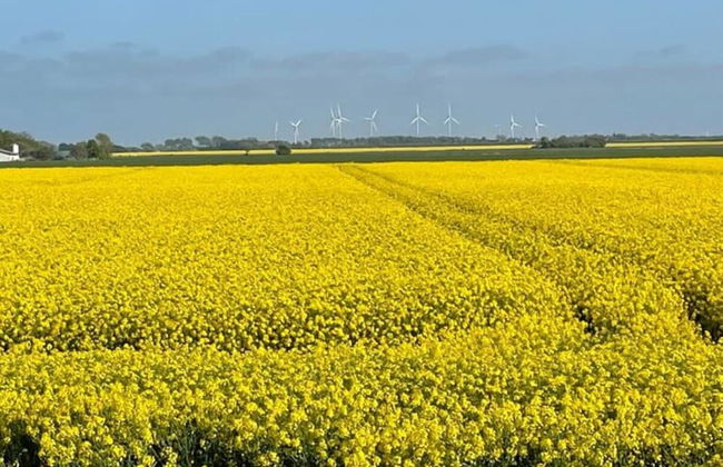 Nice Apartment in Dagebull-kirche - Foto 9