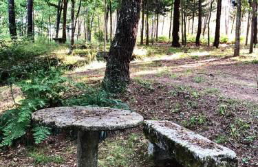 Quinta de Maderne - Foto 72