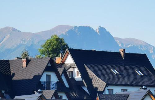 Apartament Górski Potok Murzasichle Apartamenty Murzasichle PL - Foto 9