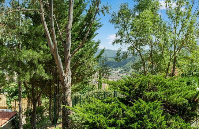 Charming Villa Stay Near Limoux - Foto 40