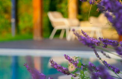 Quinta do Caritel - Foto 56