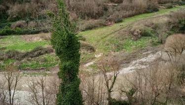 Casa di Paola a Tufo - Photo 5