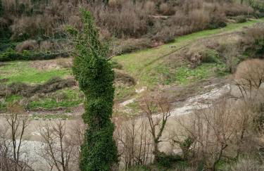 Casa di Paola a Tufo - Photo 5