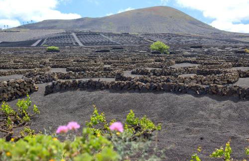 Tea-Rose Loft - Photo 18