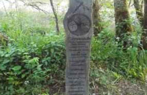 The Singing Heart, TirNaNog Cozy Cottage near Lochgilphead !!HIDDEN GEM!! - Foto 60