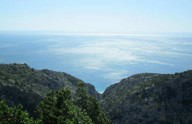 Agriturismo Su Tiresi - Foto 16