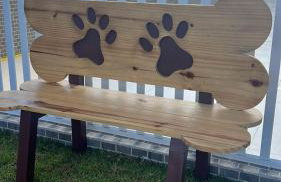 Apartamento Alto Padrão - Com Ar - Foto 12