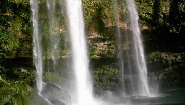 Visite de Palenque, Misol-ha et Agua Azul en espagnol - Au départ de Palenque - Photo 3