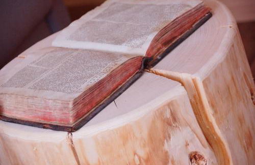 Chalet Apartments Ambria - Photo 57