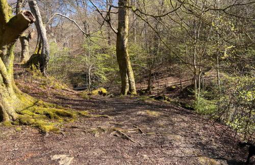 Apartment 3 The Baileys Cwm - Foto 26