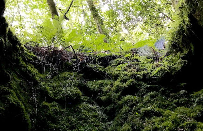 Casona de Labrada - Foto 73